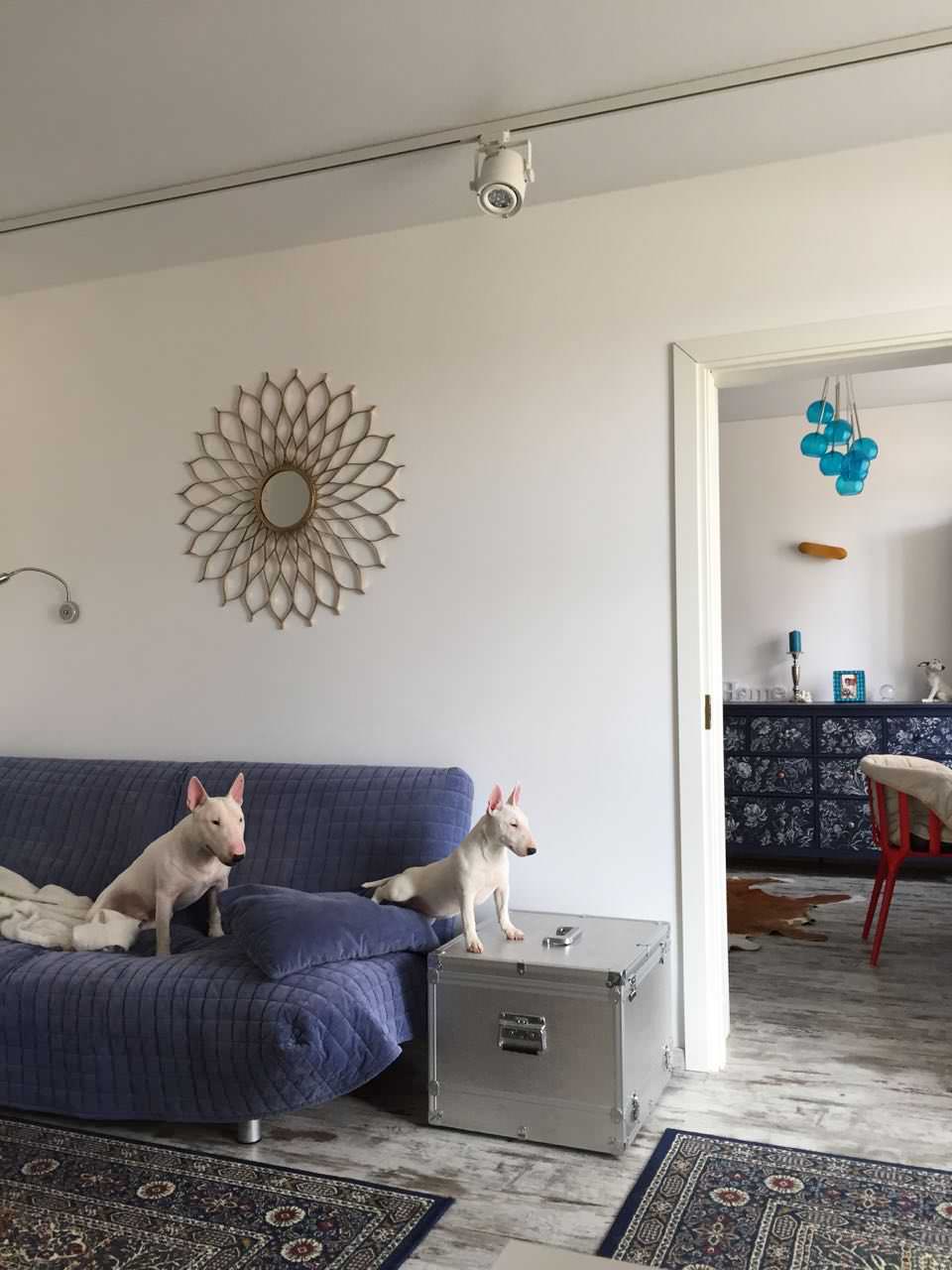 Елена Коршунова