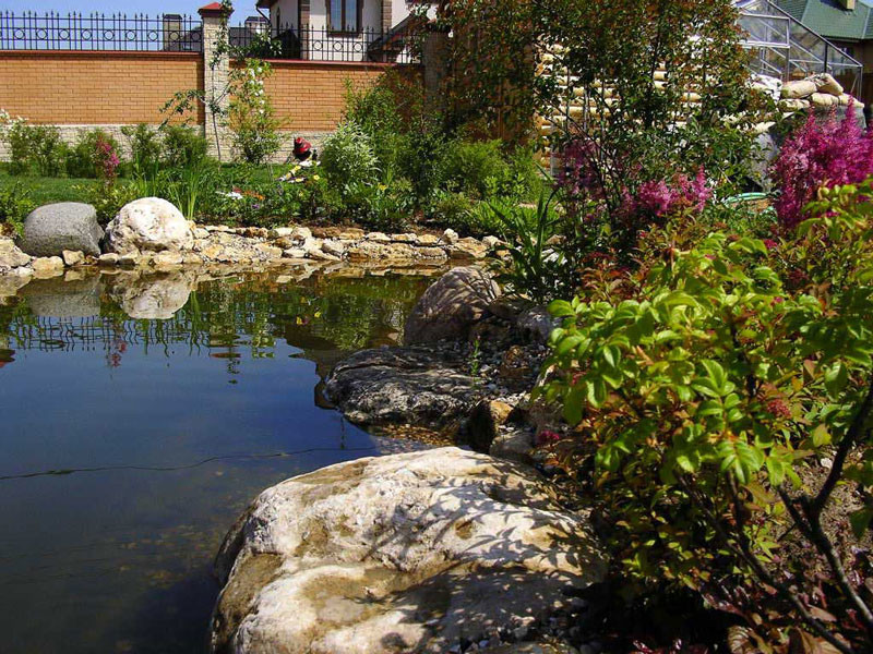 Наши работы