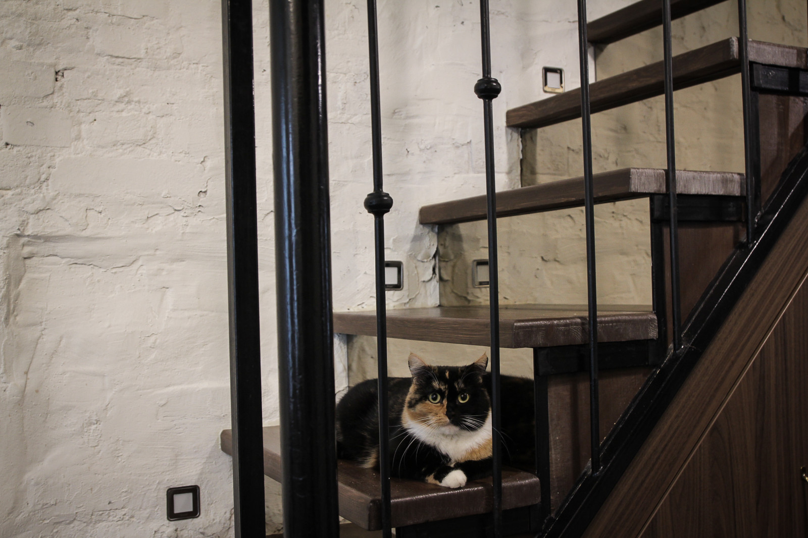 В сердце Старого Города.