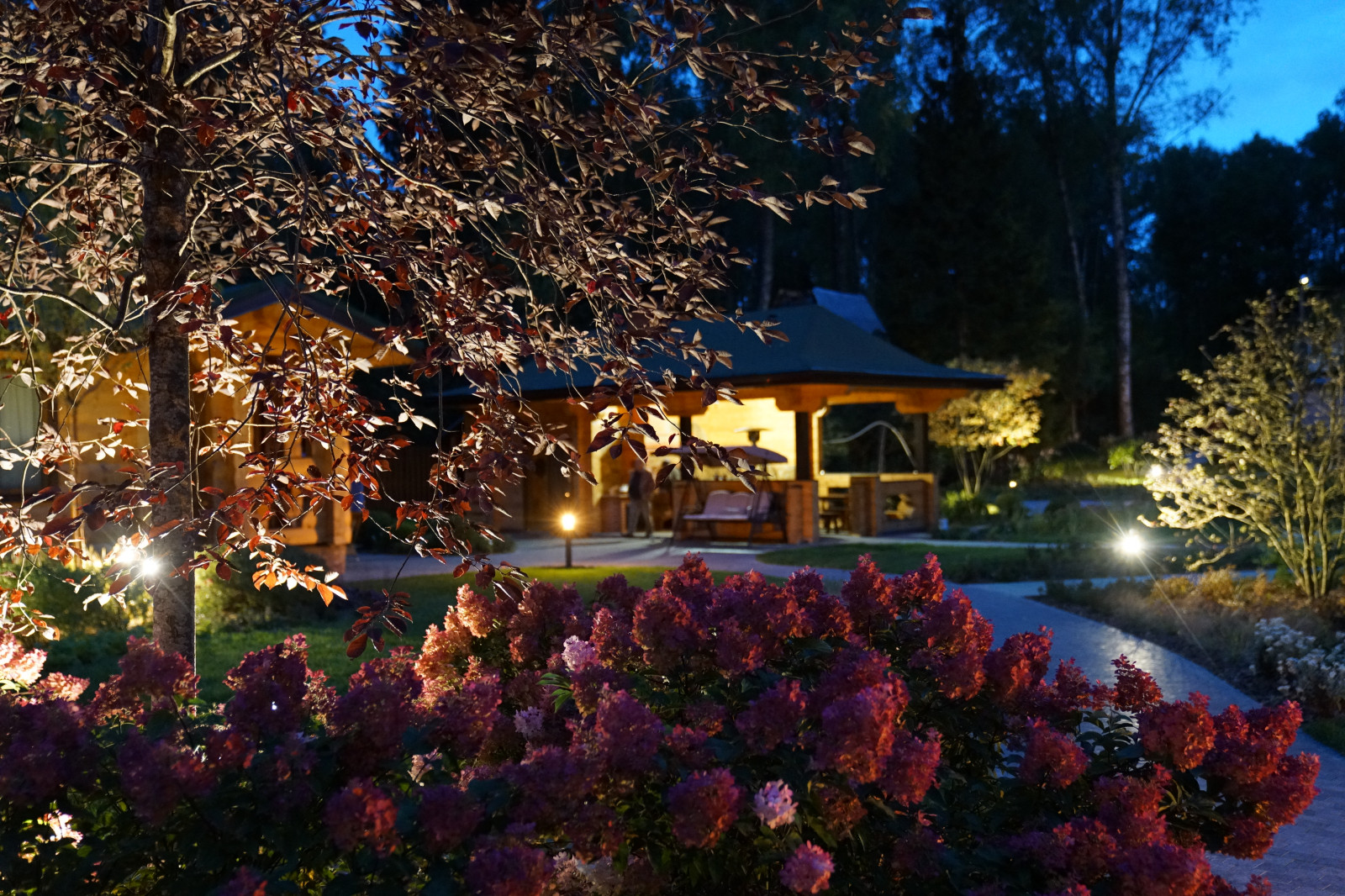 Таймлайн: 11 месяцев на реконструкцию сада 45 соток