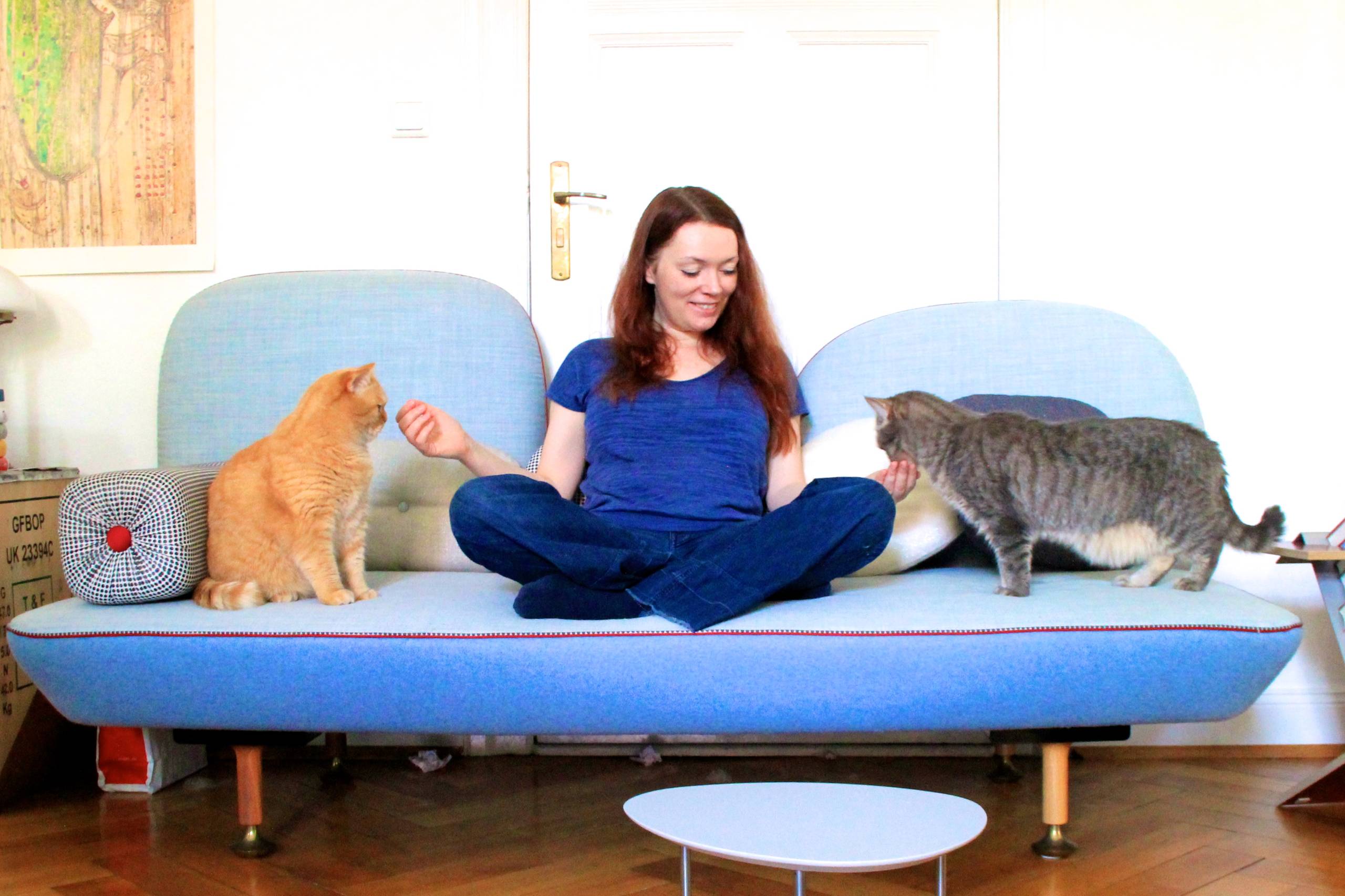 Мир дизайна: 10 счастливых питомцев и их места обитания в доме