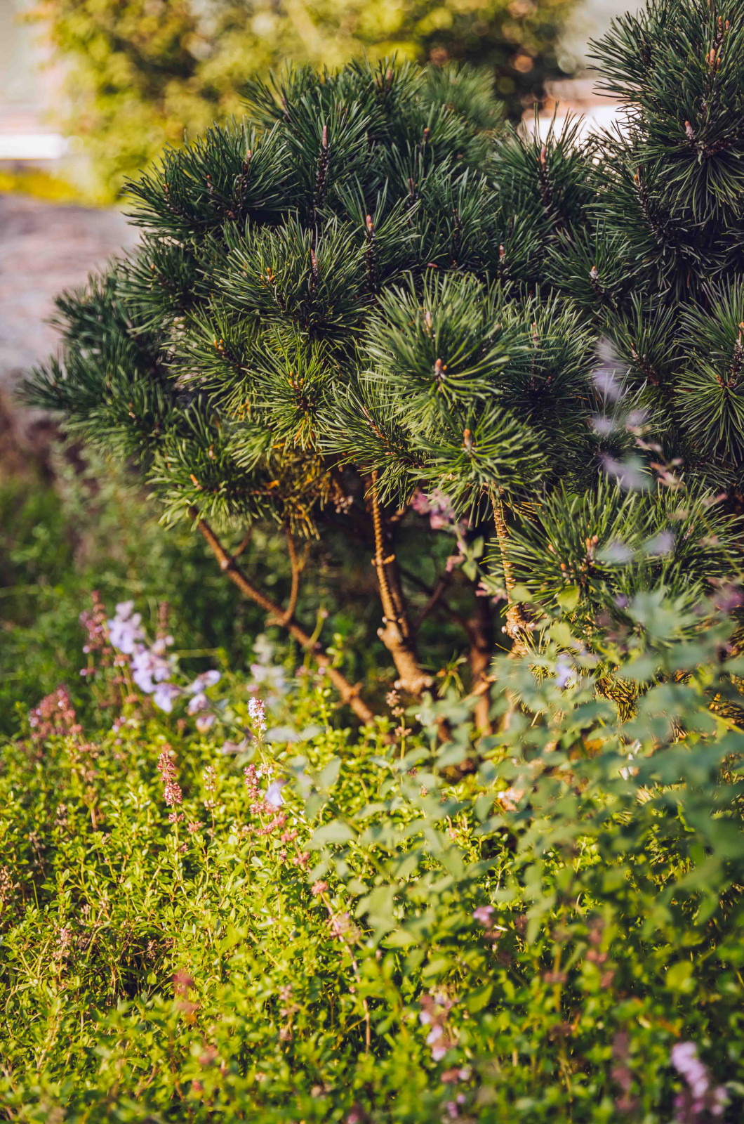 Архитектурное Решение в Пейзажном Стиле
