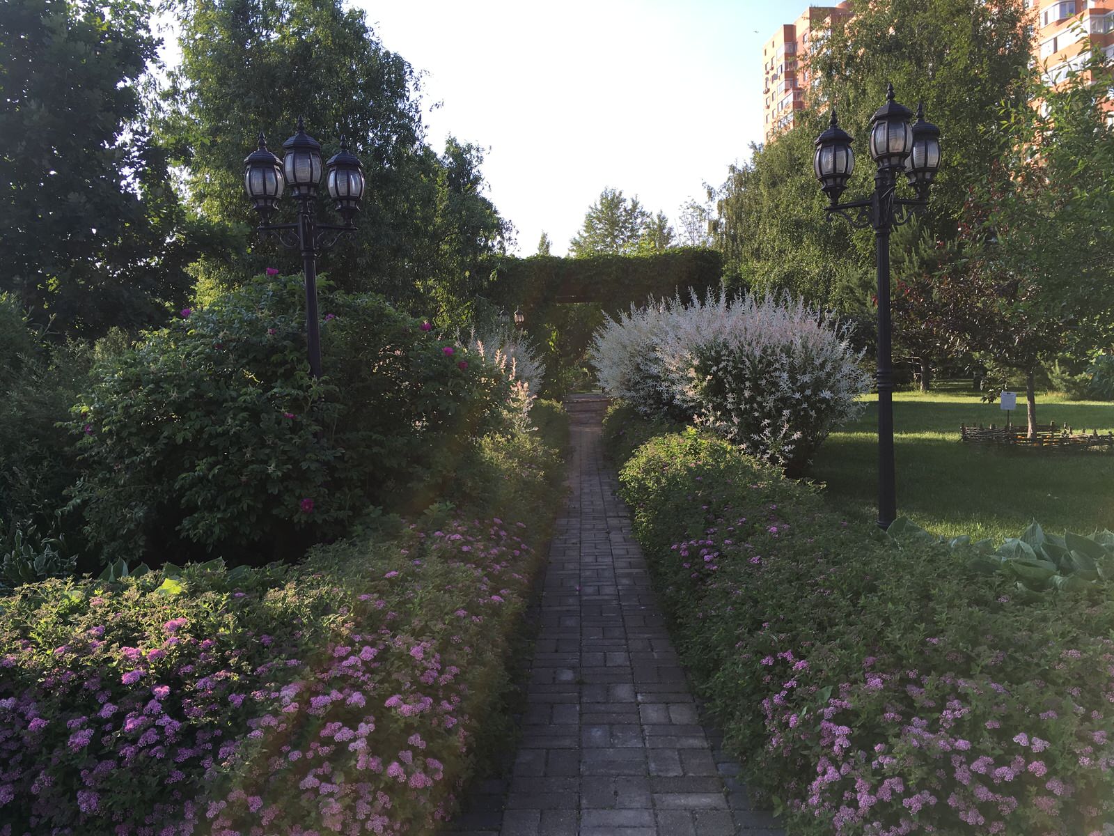 Парк в городе