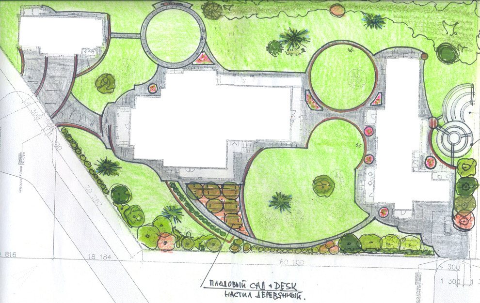 Планировка сада: 3 варианта, финальный генплан + анализ инсоляции