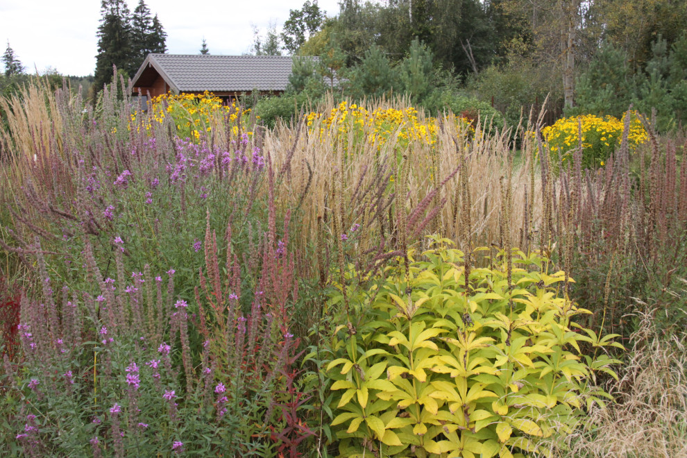 Сад "Три плюс два"