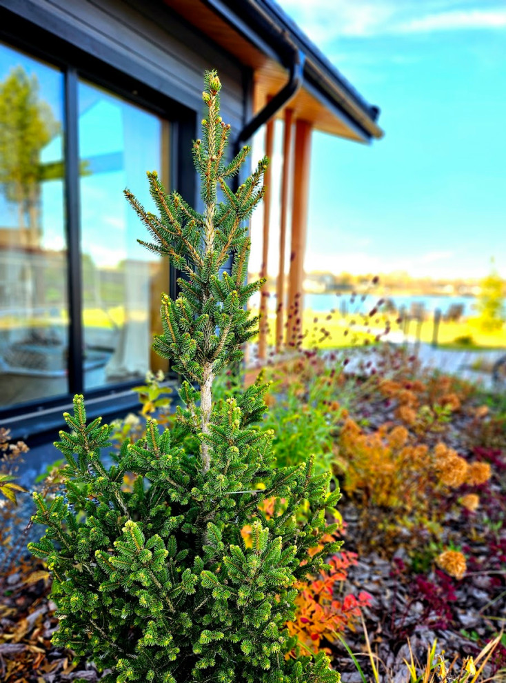 Готовые объекты