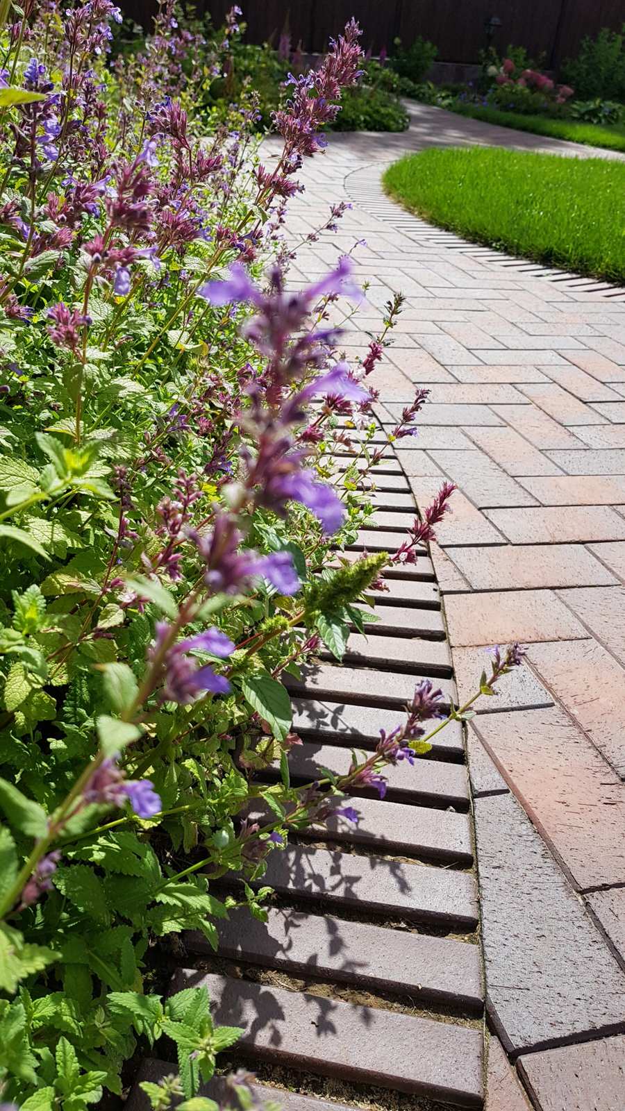 Обложка проекта: Бурцево. Благоустройство участка с уклоном более 7 м