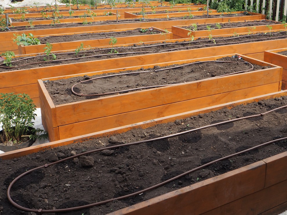 Системы автополива