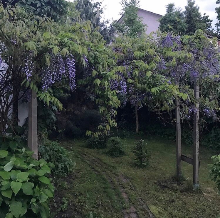 В гостях: Дом дизайнера и 4 сотки сада в Калининграде