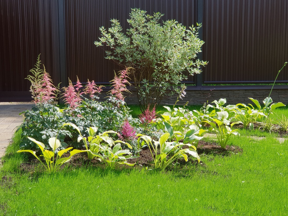 Лесная зона.