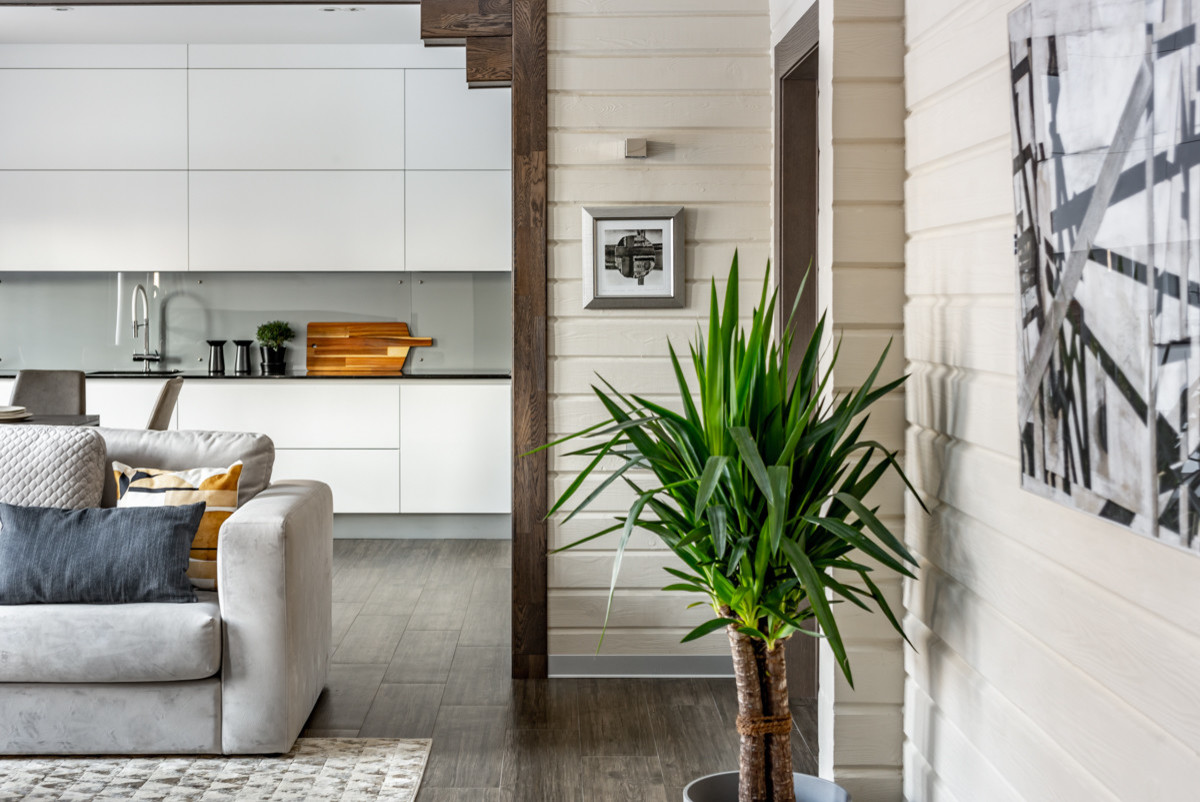 Дом среди берёз