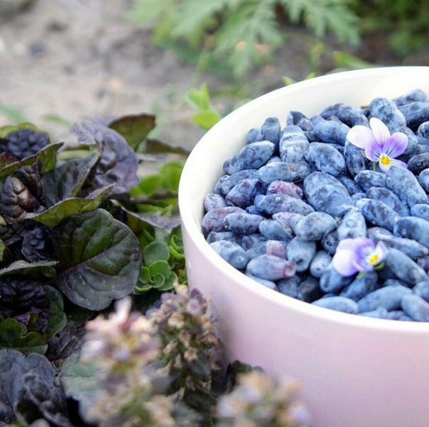 Предметы декора в интерьере