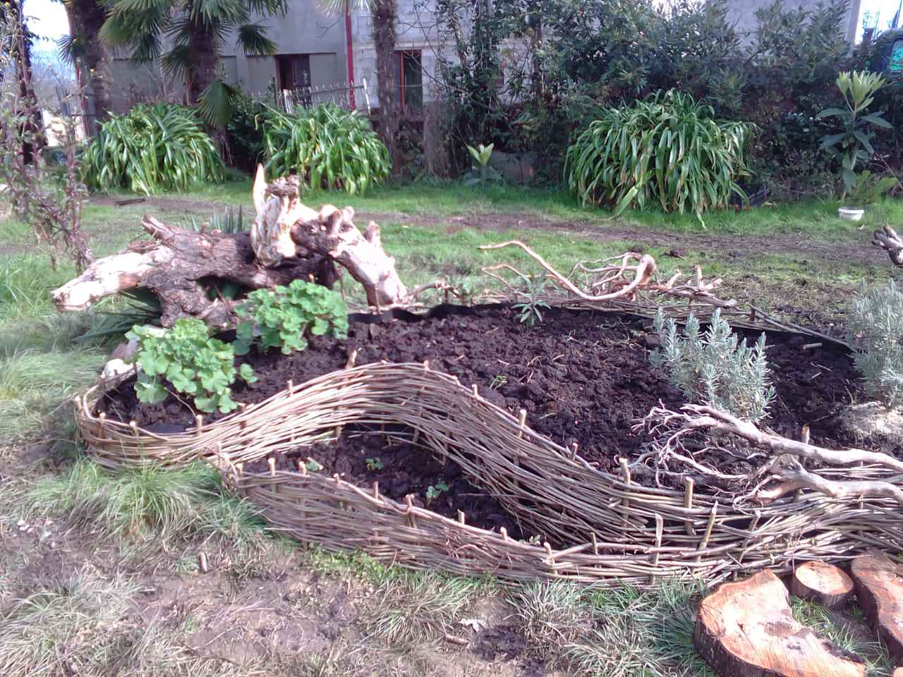 Фоновое изображение профиля Светлана Сергиенко дизайнер