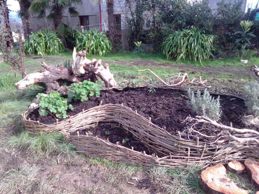 Светлана Сергиенко дизайнер