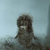 Оксана Сербина