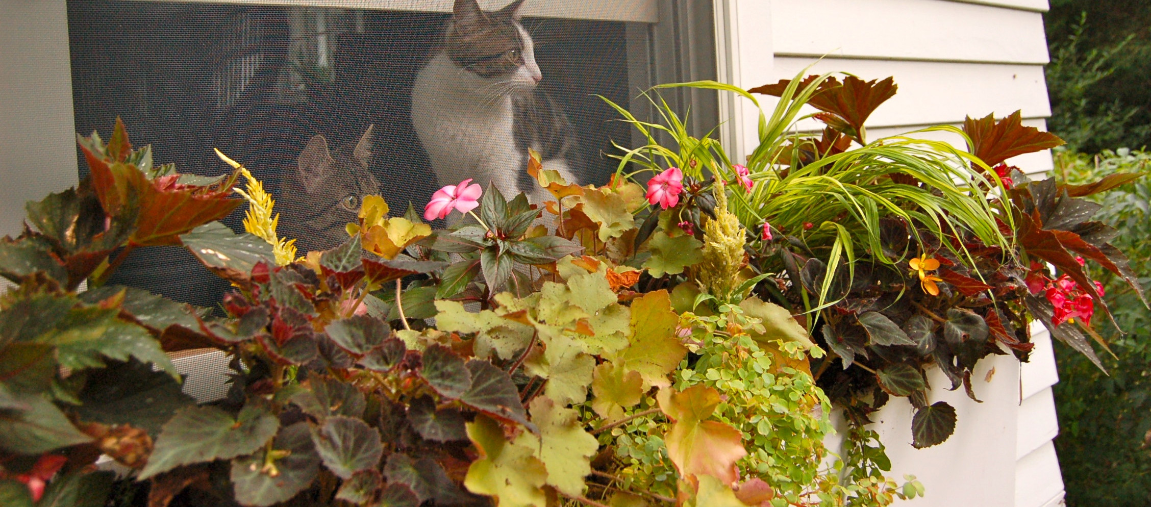 Горшку — место: 14 идей, куда можно поставить растения в кашпо