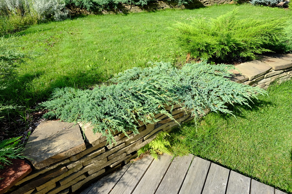 Зеркальный Ландшафтное проектирование