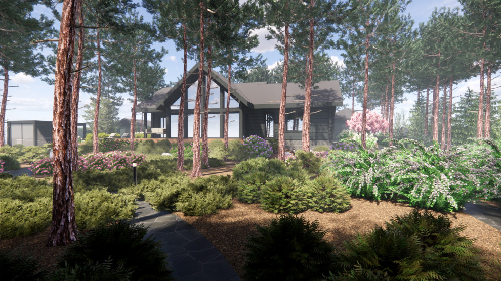 Вид на дом сквозь лесную зону