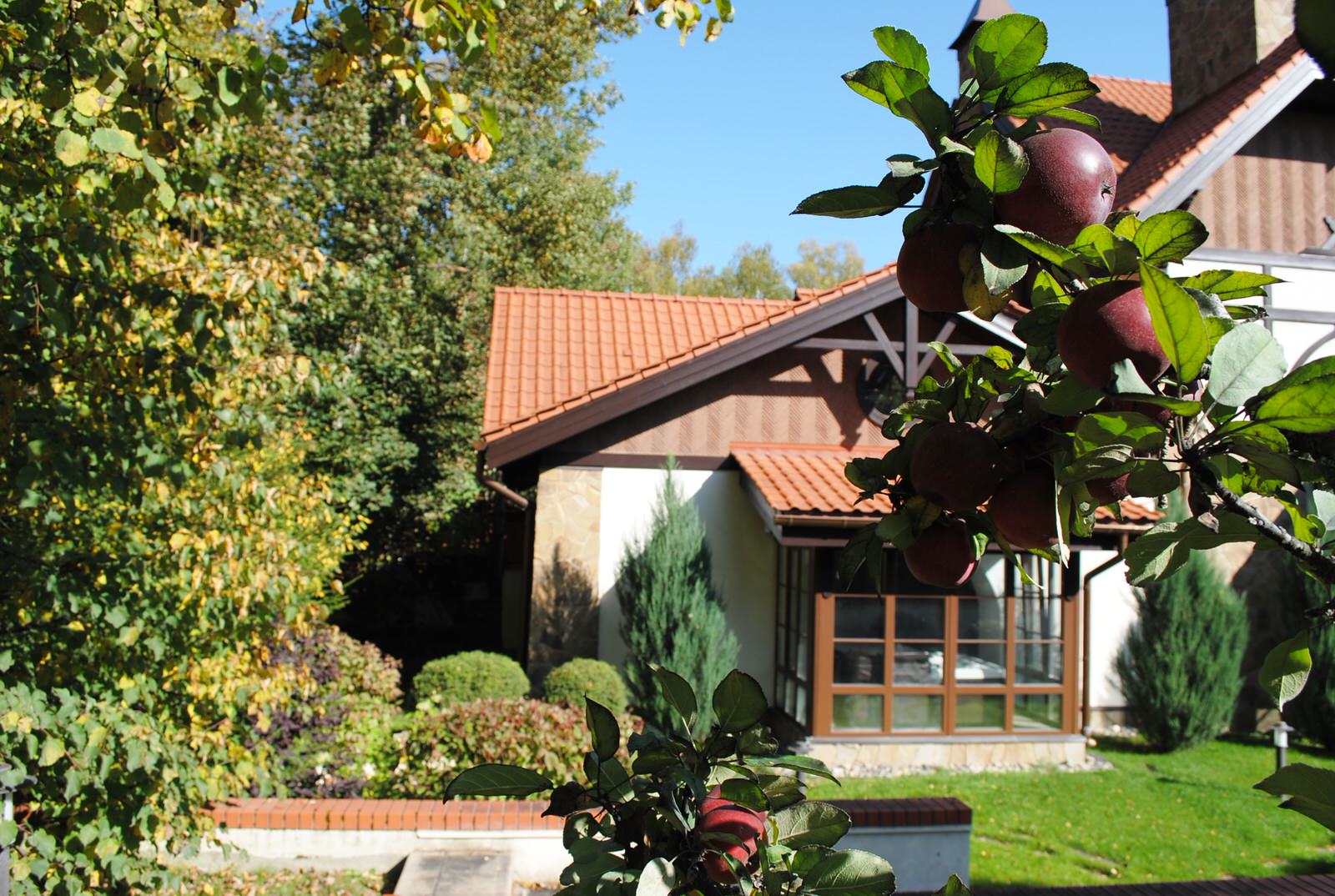 Осенний лес.Дмитровское шоссе