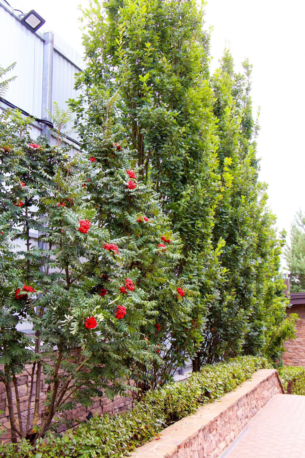 Лобаново, 2012-2021 гг.