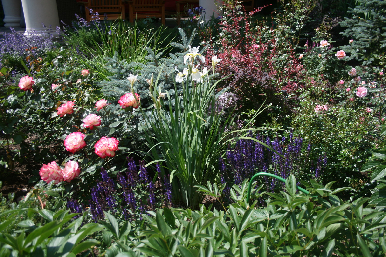 Сад в английском стиле