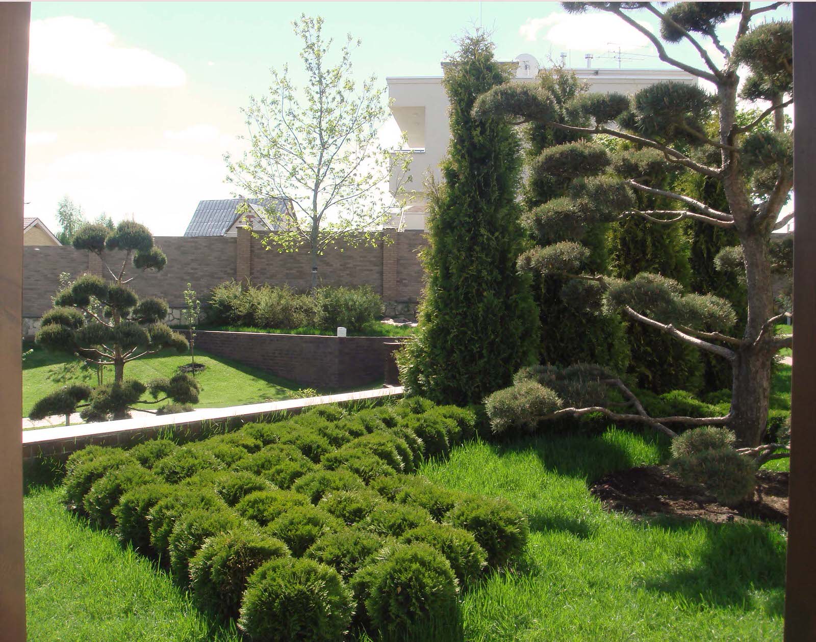 Сад "Динамика движения"