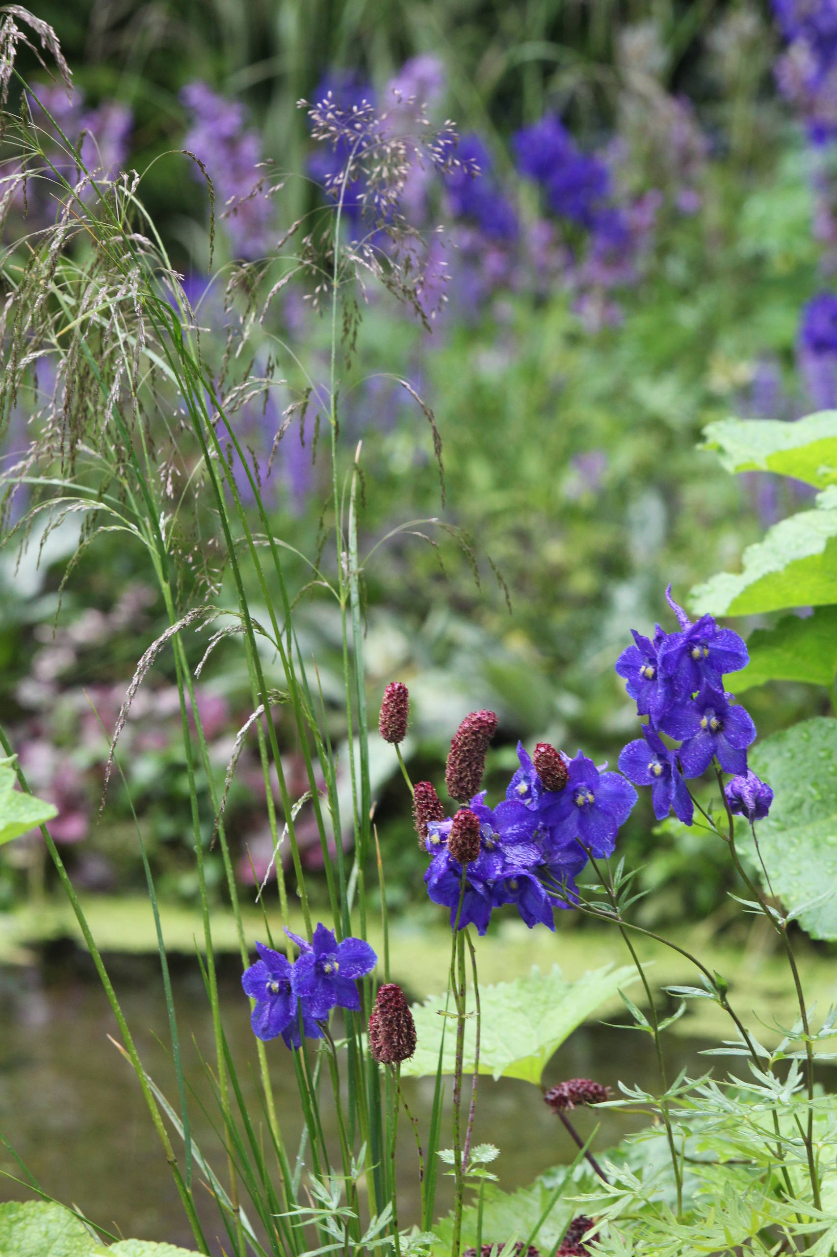 Проект недели: Сад в стиле модерн