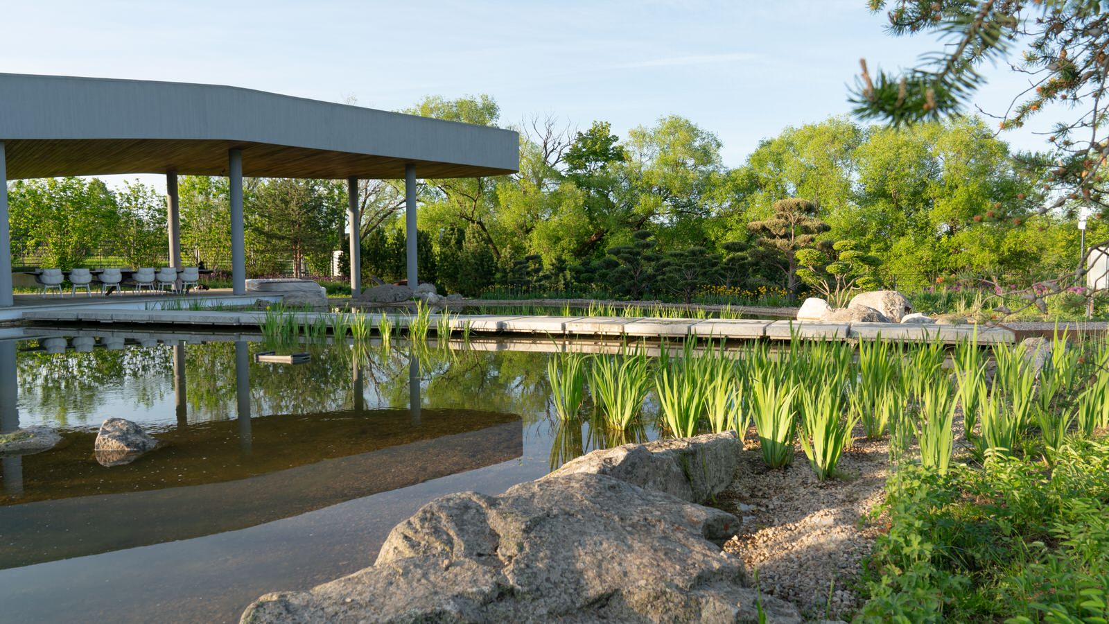 Природный сад. Жуковка XXI век. 2017-2018 гг.