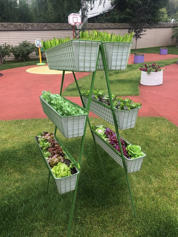 Вертикальный огород