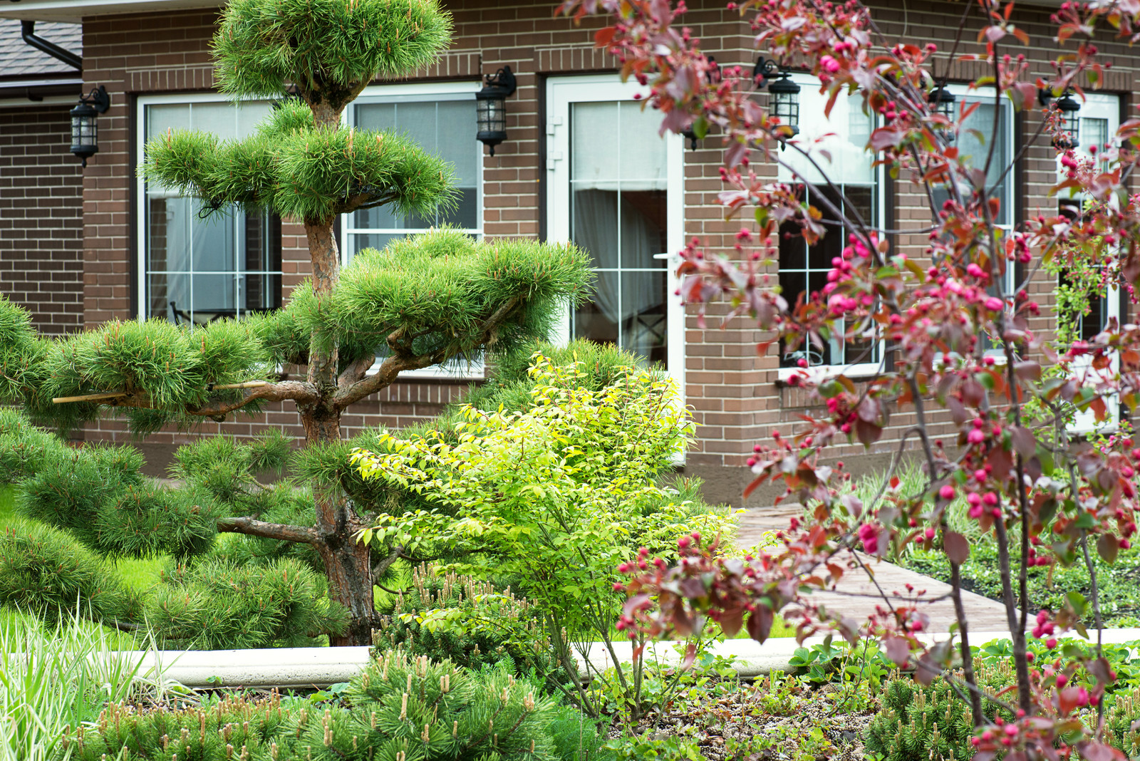 Первая весна в саду "Красный октябрь"