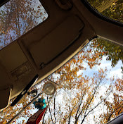 Динмухаммед Кенесов