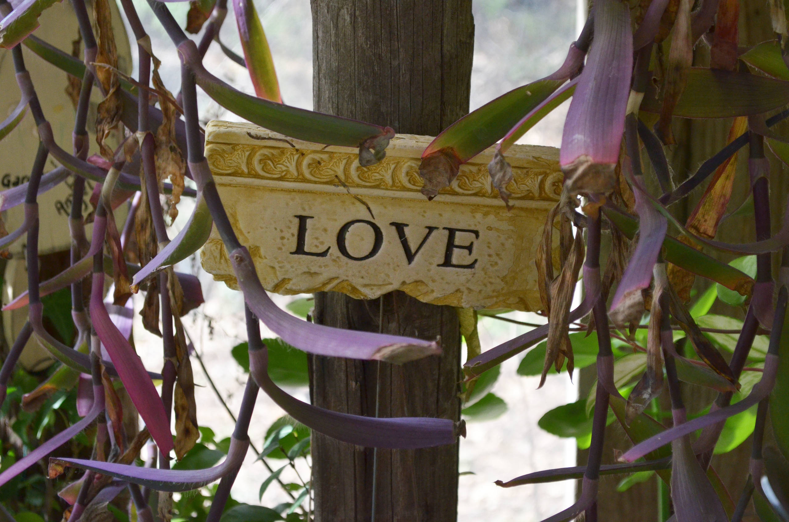 Houzz в саду: А вы готовы дать имя своему дому?