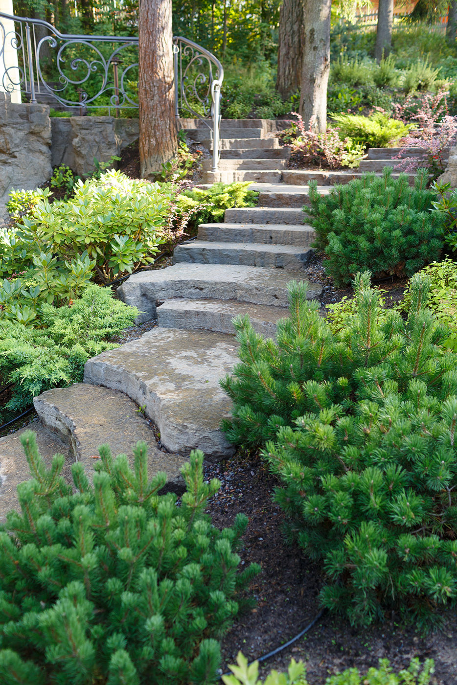 ' Honka Village"  Ленинградская Область.450 м2