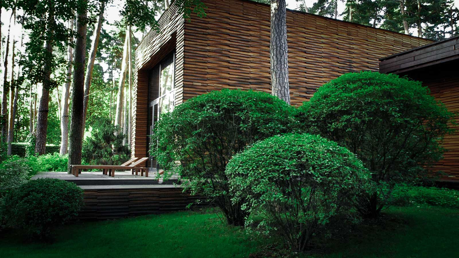 Серебряный бор