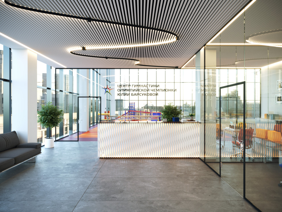 Центр Художественной гимнастики Юлии Барсуковой г. Санкт-Петербург