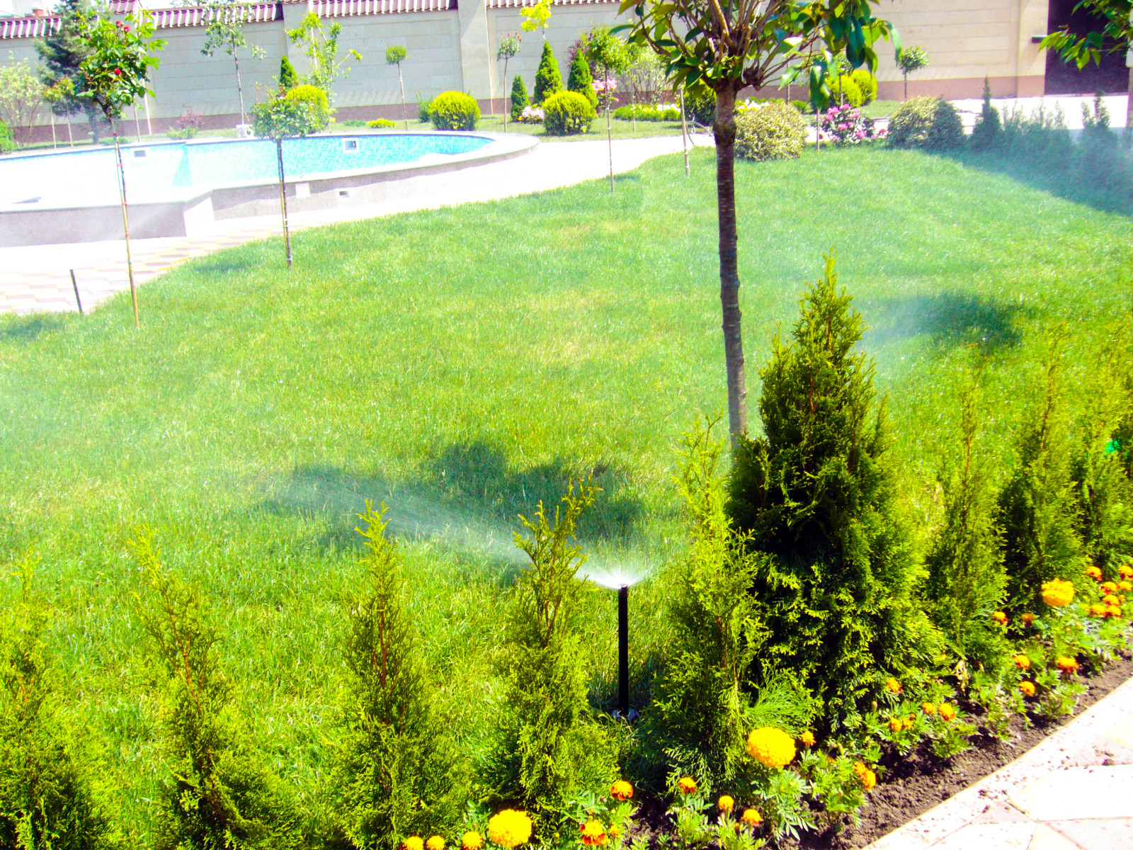 Ландшафтный дизайн в Сестрорецке