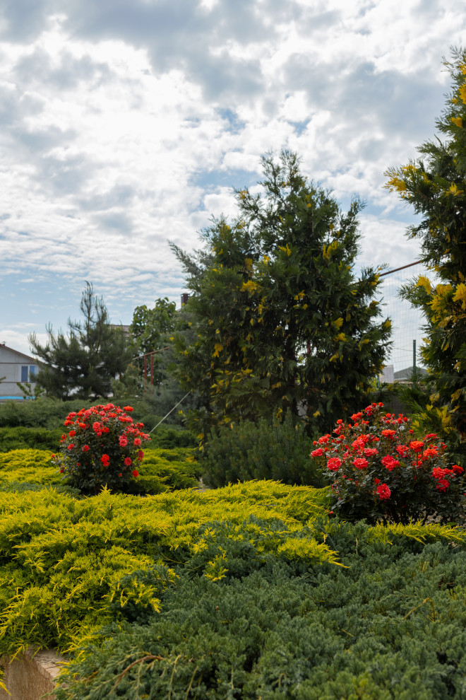 Сад: "Крымский бриз"