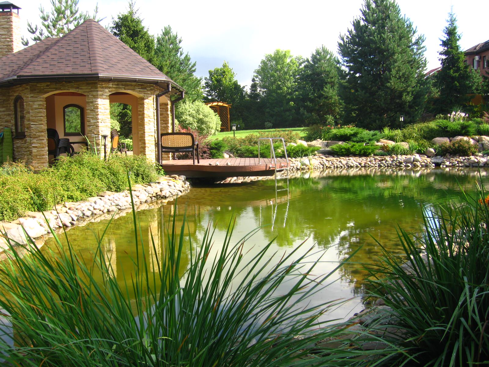 На берегу водоема