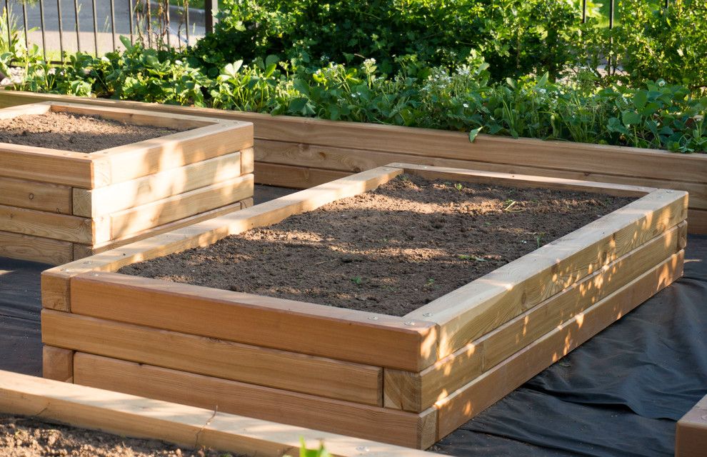 Наталья Каменева