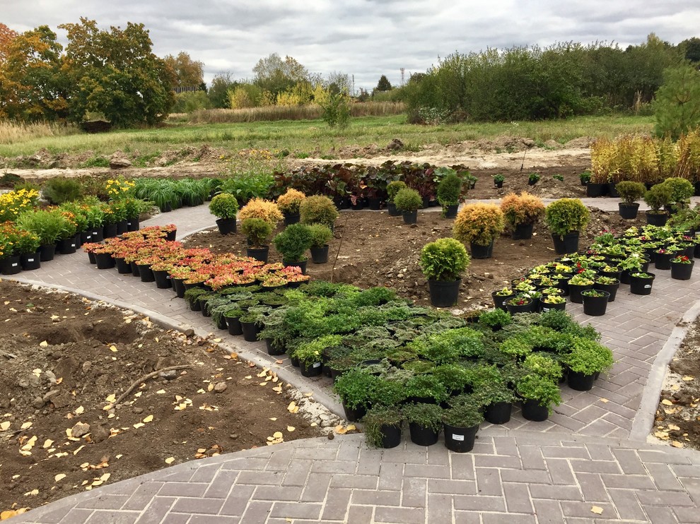 Русские Забавы. начало посадок, октябрь 2017