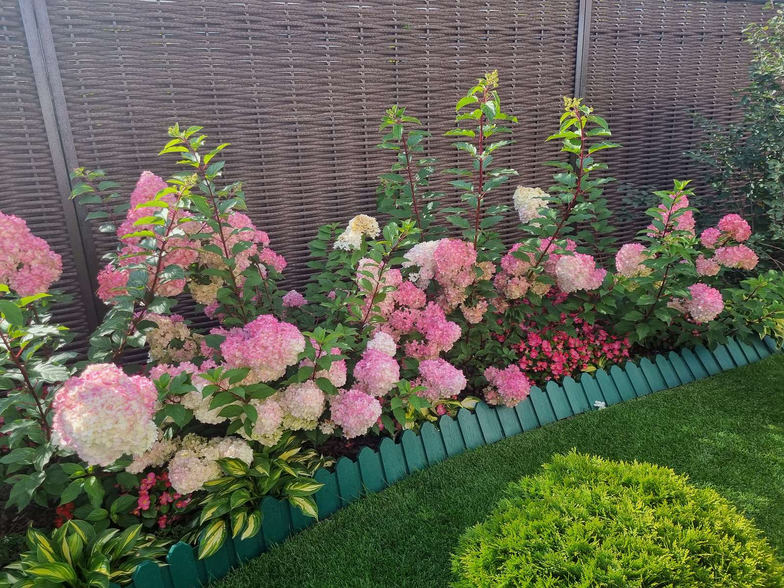 Обложка проекта: Серебрянный бор - 3