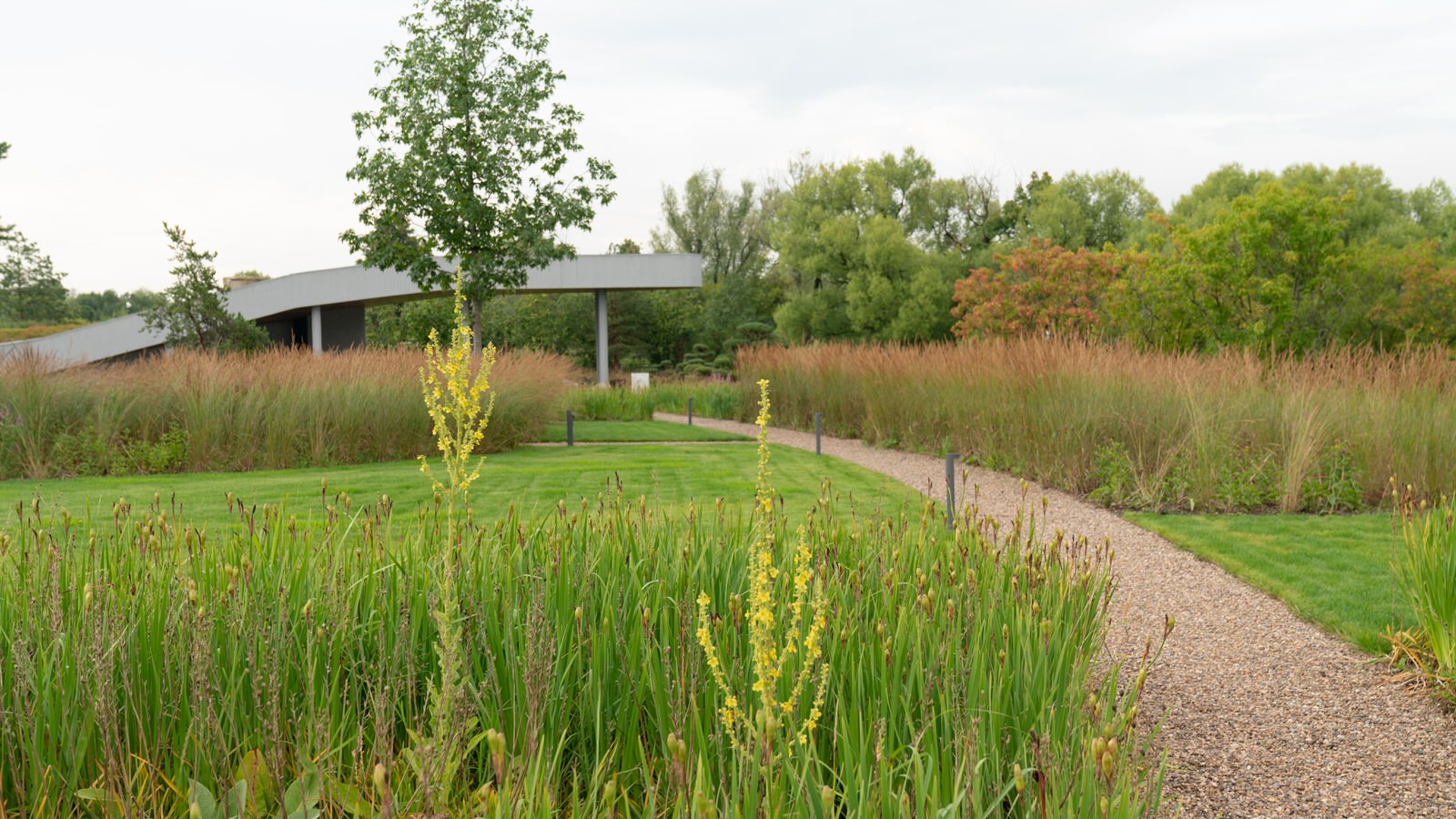 Природный сад. Жуковка XXI век. 2017-2018 гг.