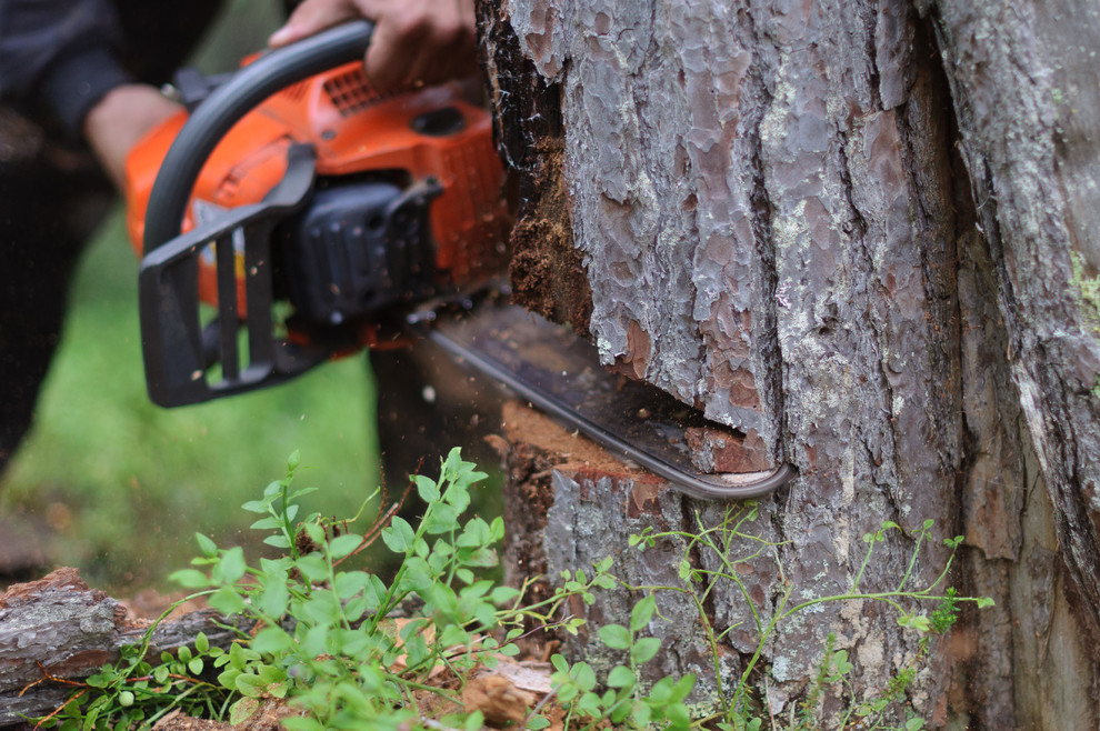 Производство и заготовка