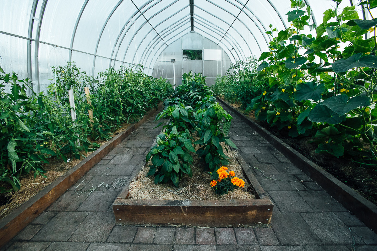 Декоративный огород Теплица