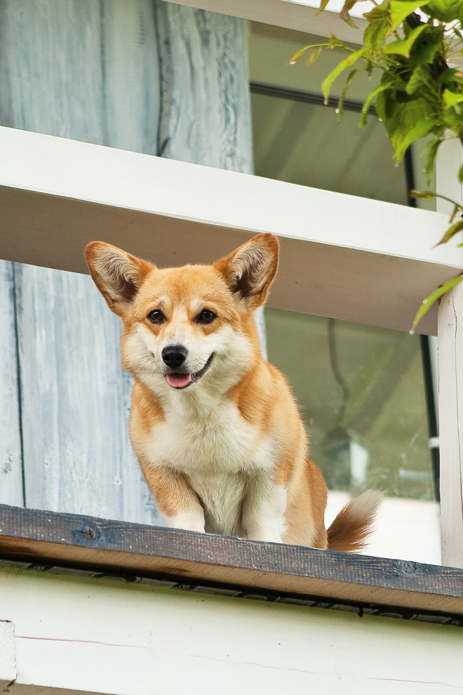 Small House "Ship" 18 sqm