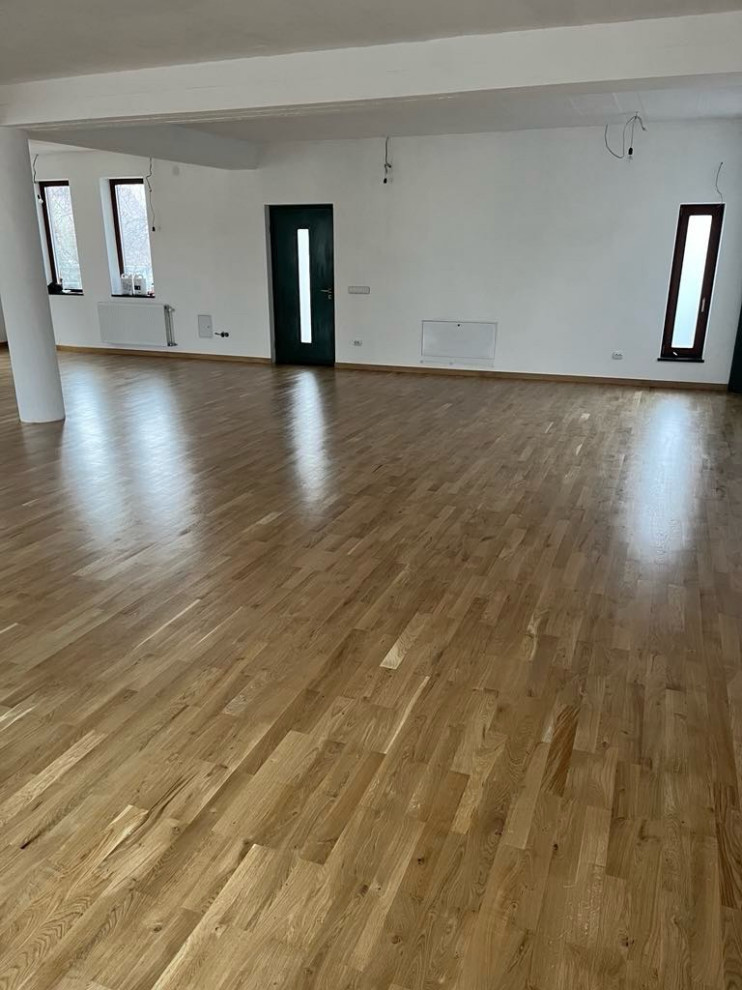 Міша Бецанич