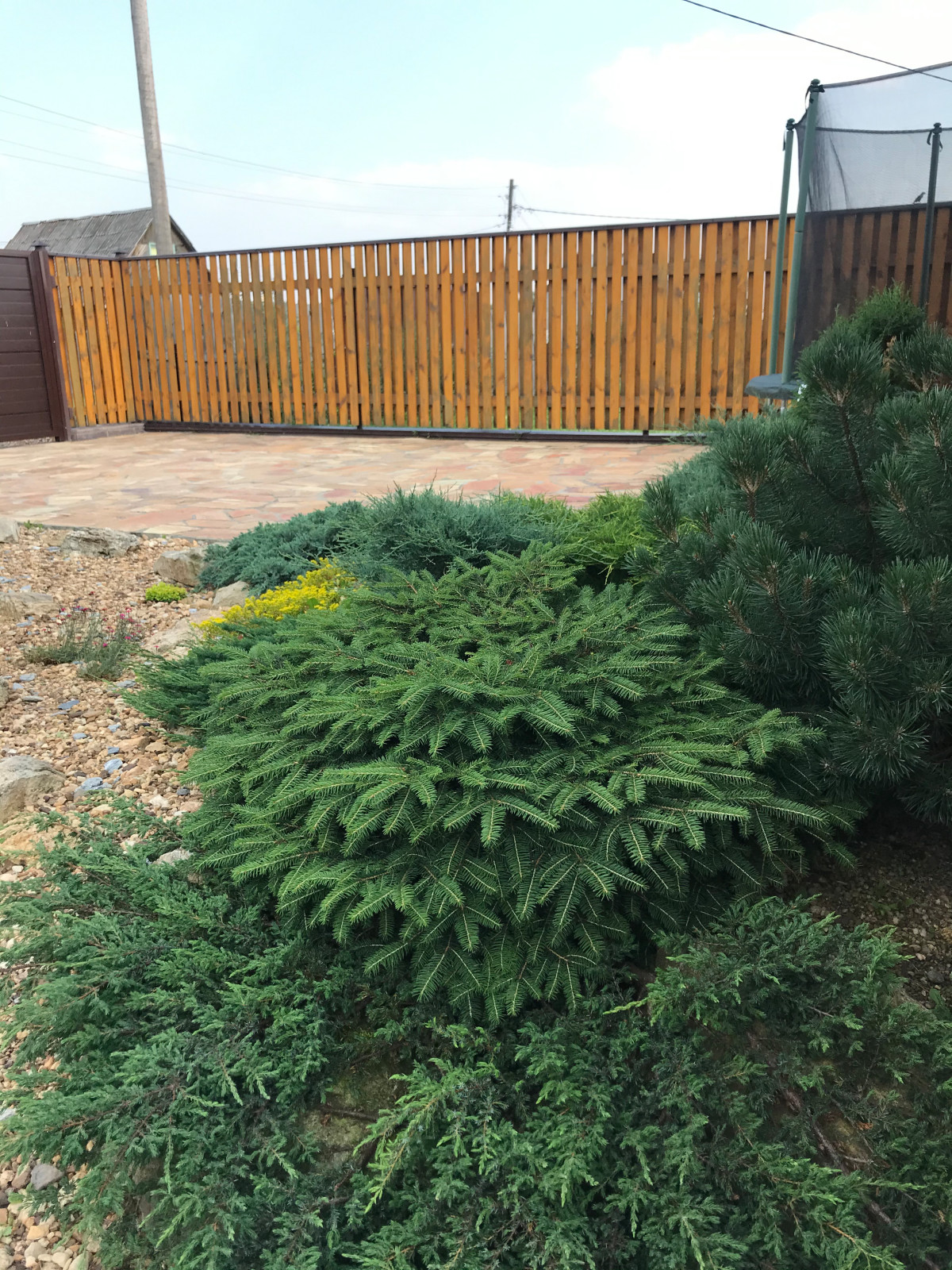 Садовый минимализм