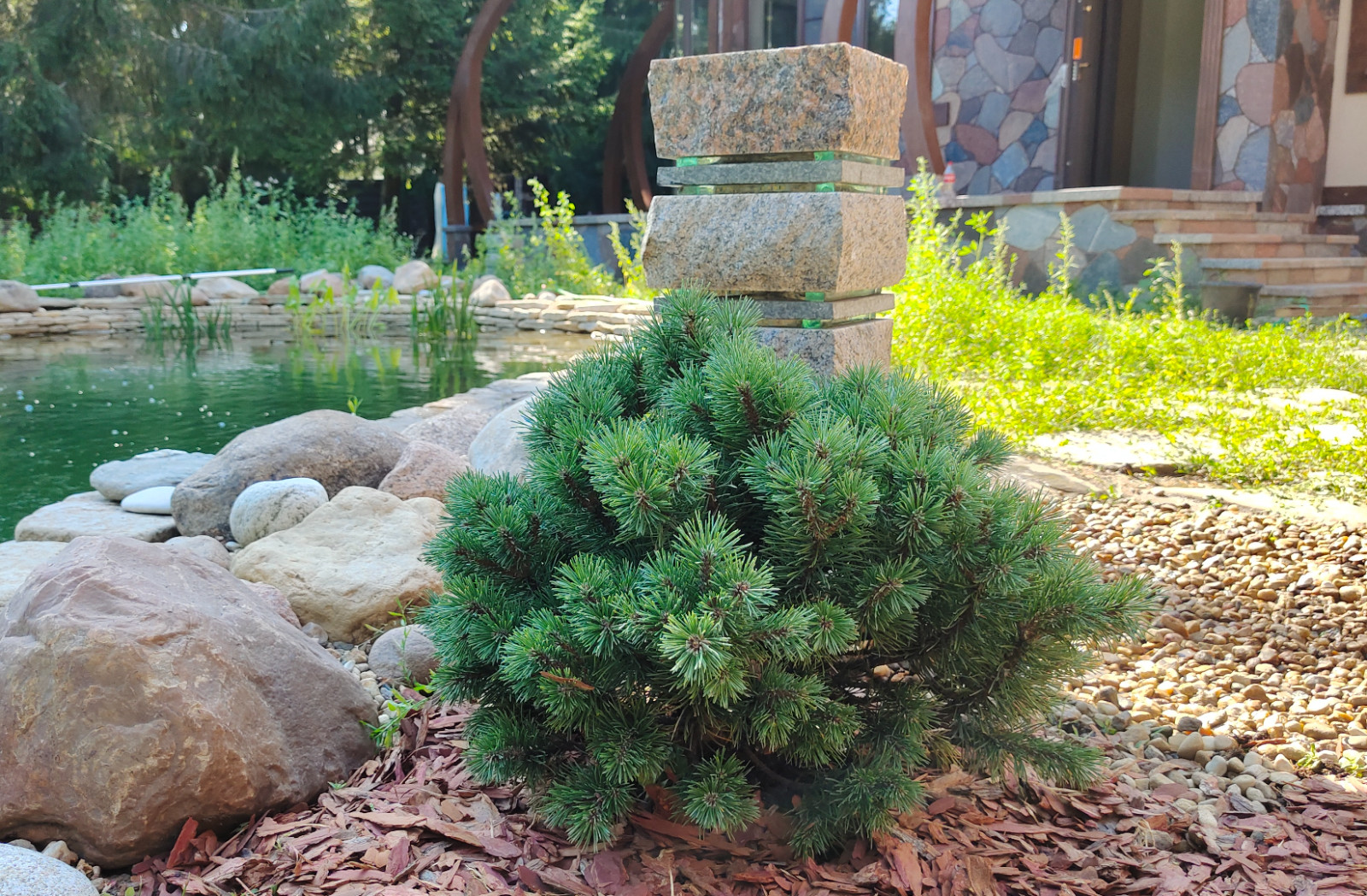 Обложка проекта: Николина гора