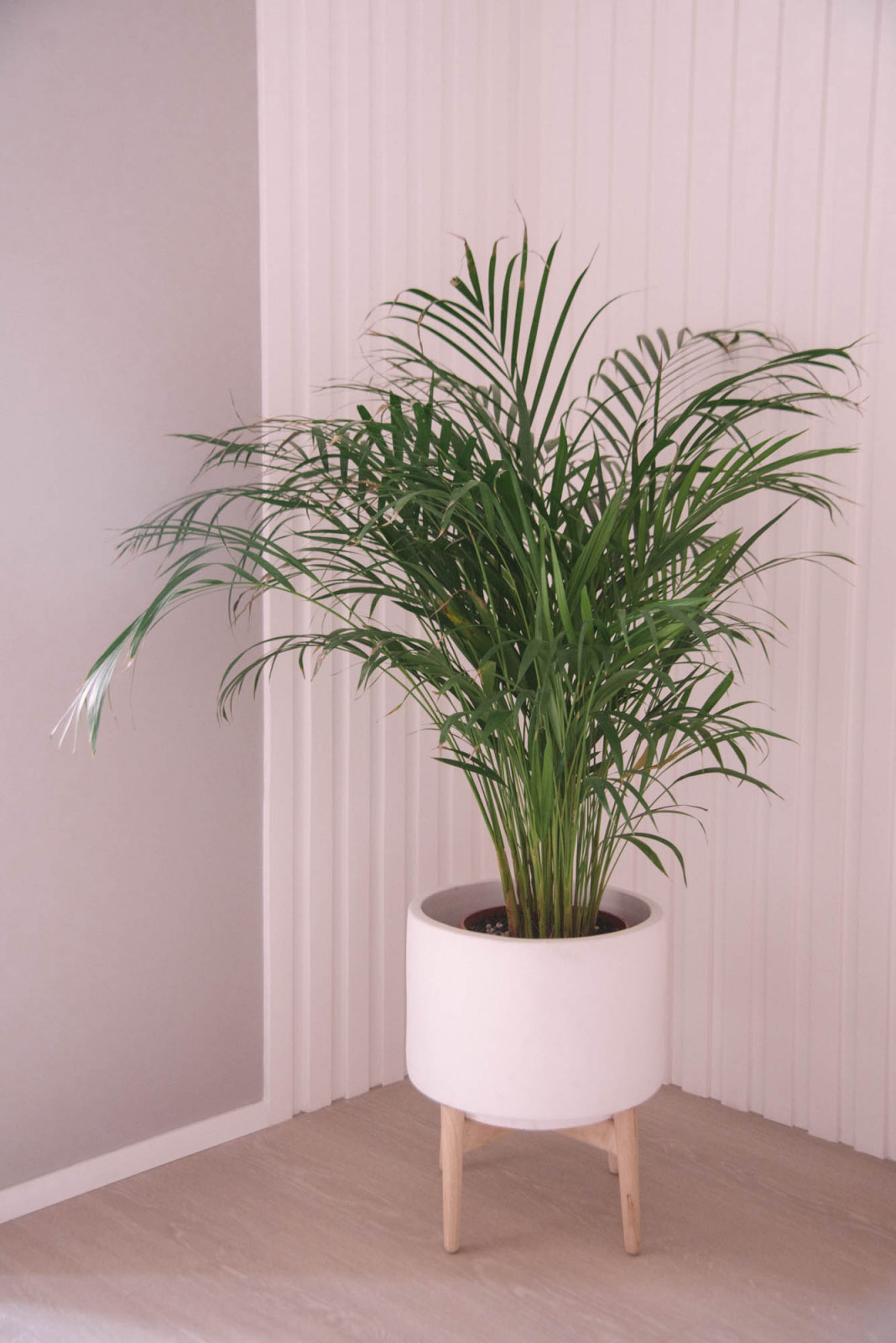 Реализация проекта