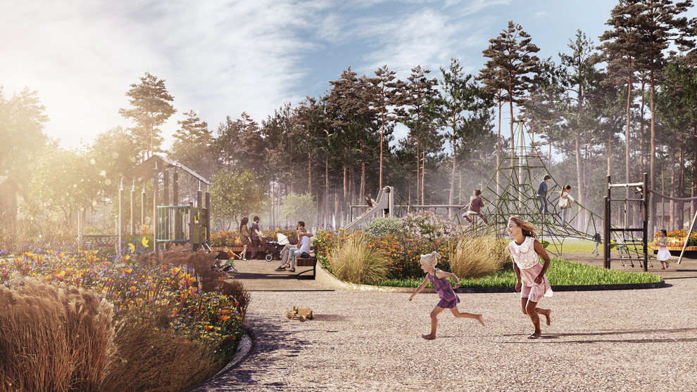 Репино парк